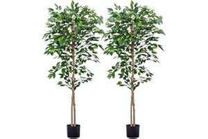 HAIHONG 2Packs 5FT Ficus Trees Artificial with Realistic Leaves and Natural Trunk, Faux Ficus Tree with Sturdy Plastic Nursery Pot, Fake Ficus Tree for Office Home Farmhouse for Indoor Outdoor Decor