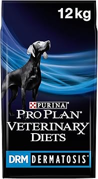 what does shiba inu mean