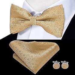 Hi-Tie Gold Tie and Pre-Tied Bowties for Men