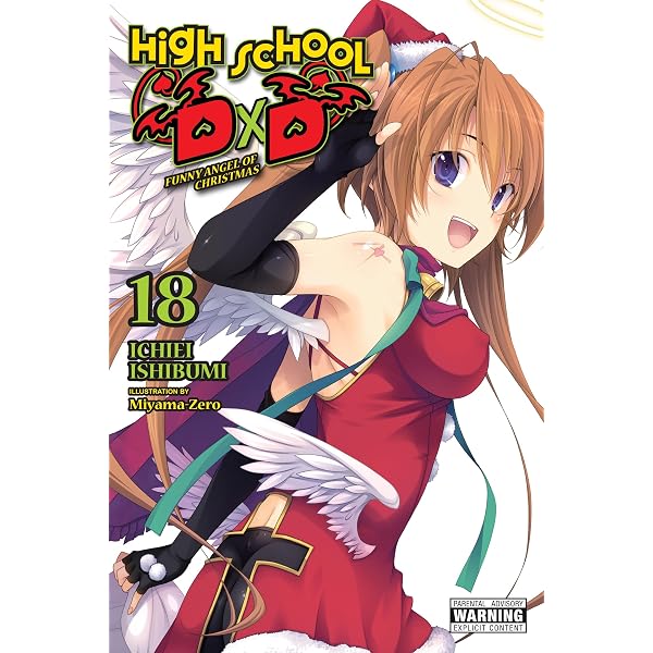 Amazon.com: High School DxD, Vol. 15 (light novel): Dark Knight of