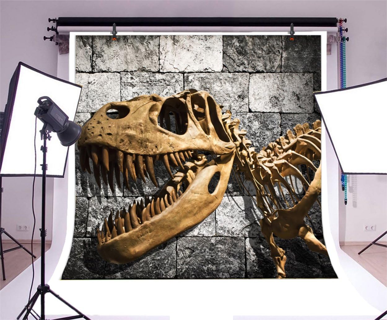 Video Studio LFEEY 5x5ft Giant Dinosaur Bones Backdrop Gray Stone Brick