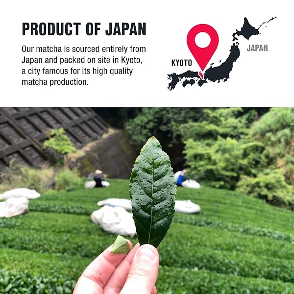 TIESTA TEA – SUPERIOR MATCHA | SUPERIOR GRADE JAPANESE MATCHA POWDER | HIGH CAFFEINATED GREEN TEA | MAKE HOT OR ICED | UP TO 21 CUPS | 1.5OZ RESEALABLE POUCH