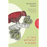 A Tale Without a Name (Pushkin Press Classics)