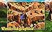 Viking Saga: New World (Freemium)