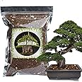 Doter Bonsai Soil Mix Ready to Use (2qt), Premium Fast Draining Organic All Purpose Potting Mix for All Varieties of Bonsai
