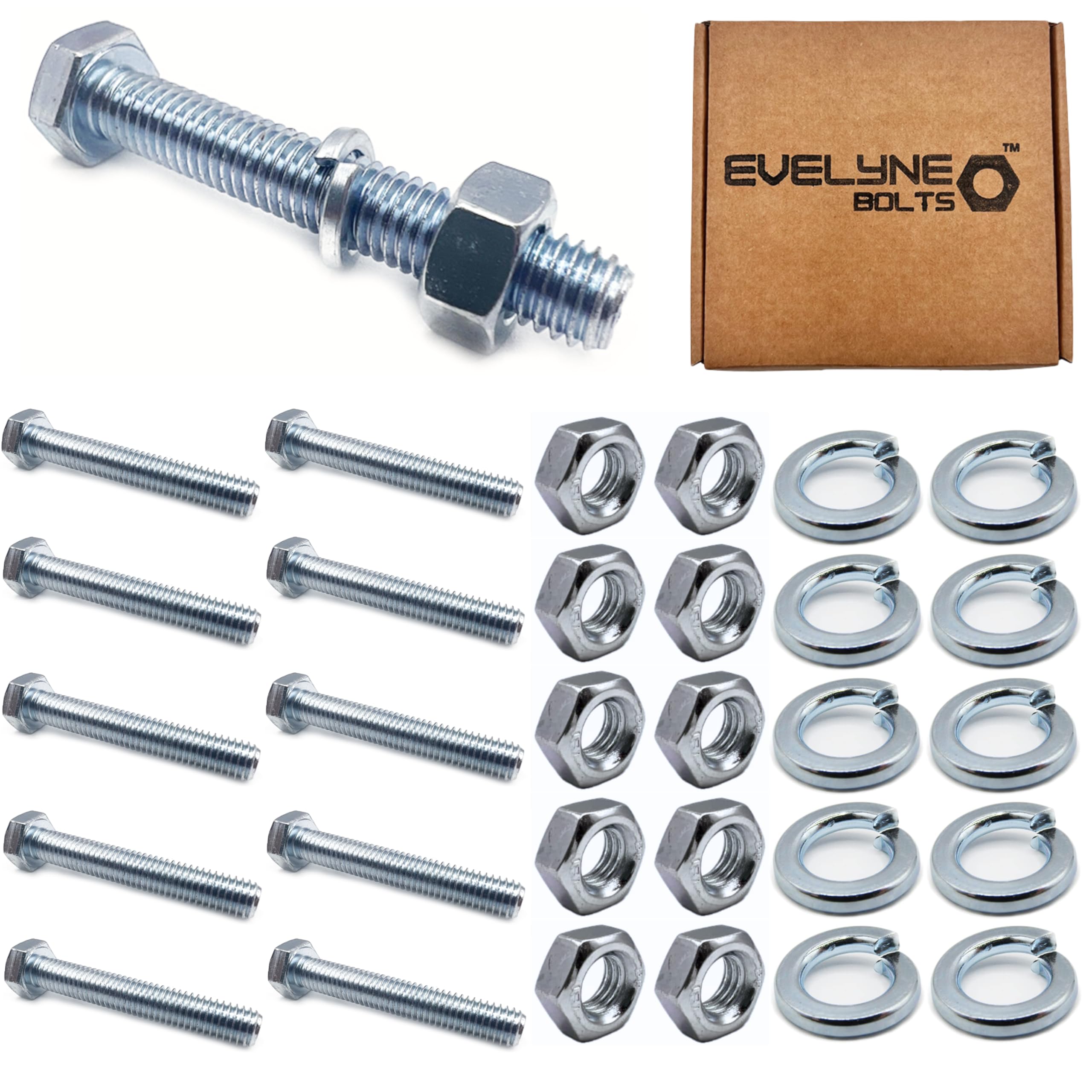 M8 Nut, Bolt & Spring Washer Set - 10 Pack: M8x50 Bolts, Nuts & Spring Washers