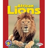African Lions (Pull Ahead Books ― Animals)