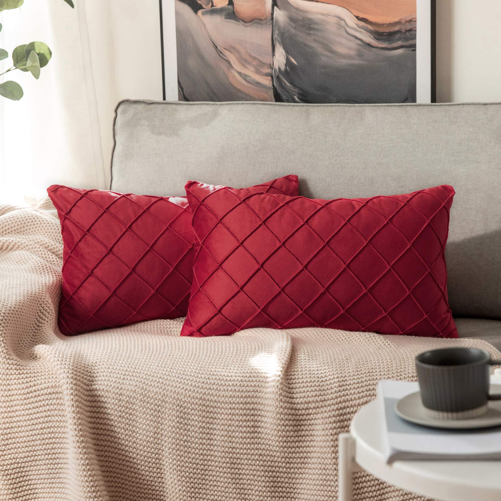 MIULEE Velvet Cushion Covers Home Decoration with Square Pattern Throw Pillow Covers Super Soft Modern Smooth Washable Pillowcase for Living Room Bedroom Sofa 2 Pieces 30x50cm 12x20 Inch Red
