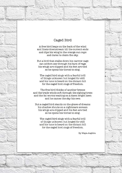Maya Angelou Cage Bird Inspirational Poem Unframed Art Print Amazon De Kuche Haushalt