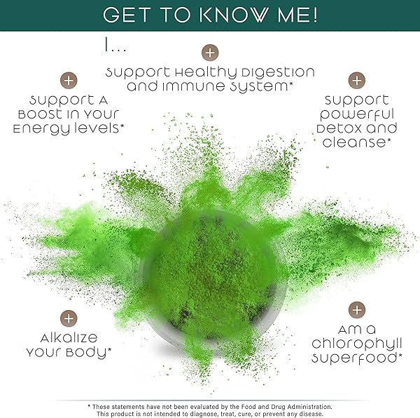 TEAVELI ORGANIC WHEATGRASS JUICE POWDER WITH PROBIOTICS – UTAH GROWN RAW WHEAT GRASS POWDER & GREEN JUICE POWDER – BIOACTIVE DEHYDRATION FOR FLAVOR & NUTRIENT RETENTION – 7 OZ (199G)