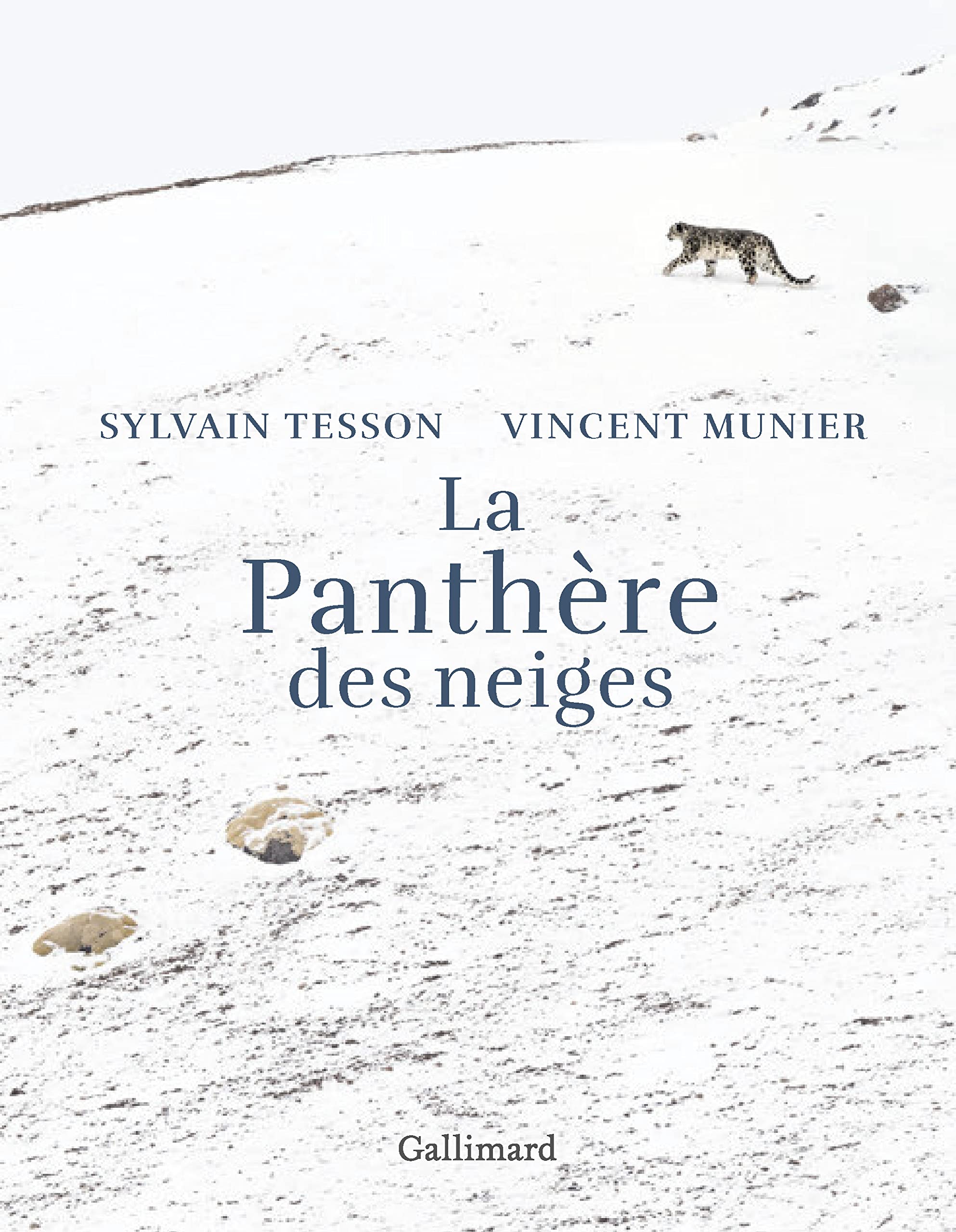 La Panthere Des Neiges Edition Illustree Munier Vincent Tesson Sylvain Amazon Com Books