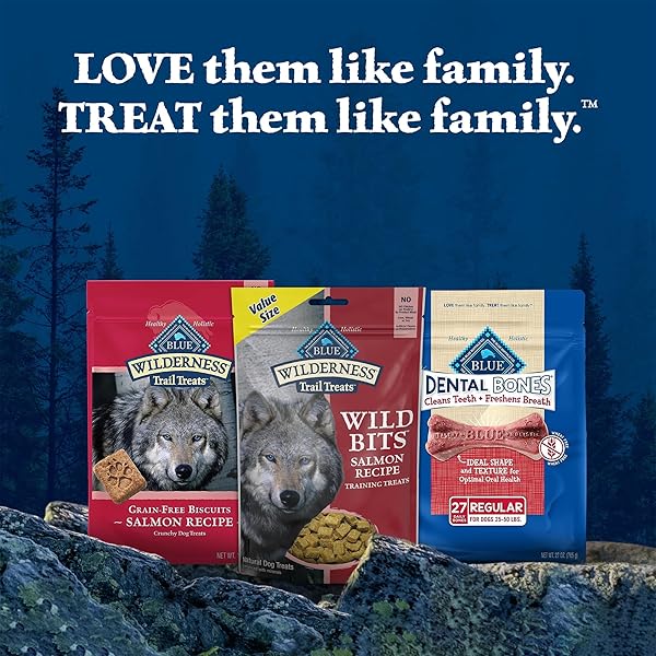 BLUE BUFFALO WILDERNESS TRAIL TREATS WILD BITS TRAINING TREATS FOR DOGS, GRAIN-FREE DOG TREATS, SALMON RECIPE, 10-OZ. BAG