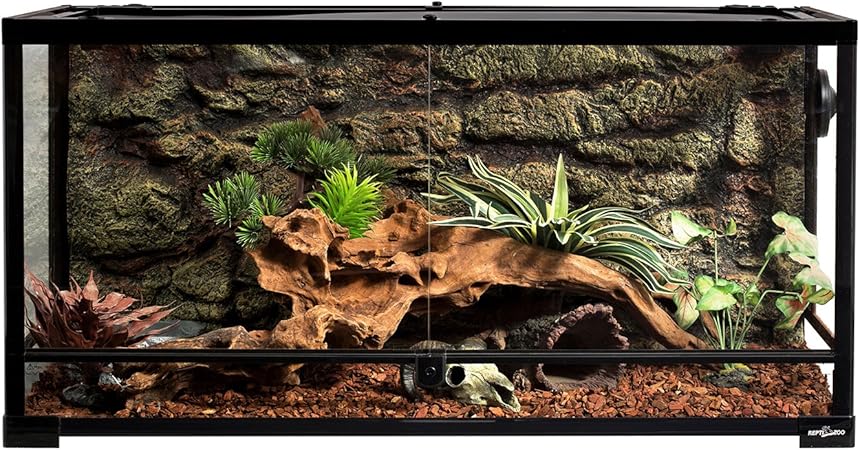reptizoo reptile glass terrarium
