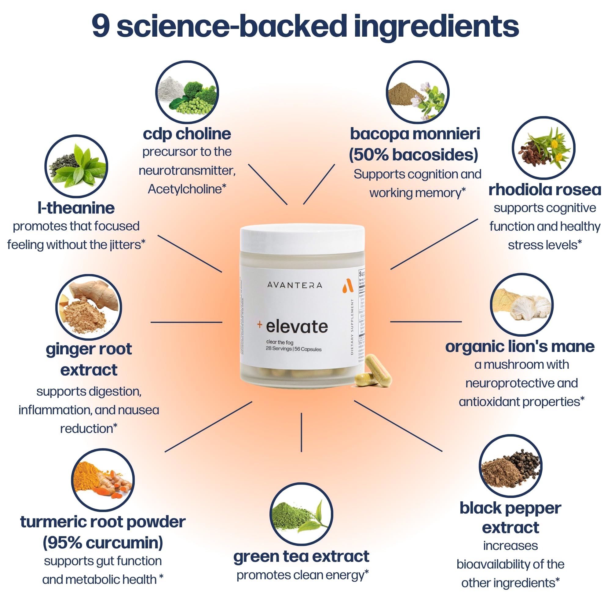 Avantera Elevate Premium Nootropic Supplement - Beat Brain Fog - Best Focus Supplements for Memory & Focus Support - Energy Without Crash - 56 Count Pills for Women & Men