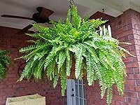 Review Image by M Krenz