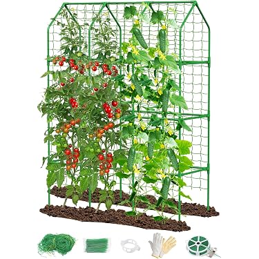 Amazon.com New Releases: The best-selling new & future releases in Garden  Trellises
