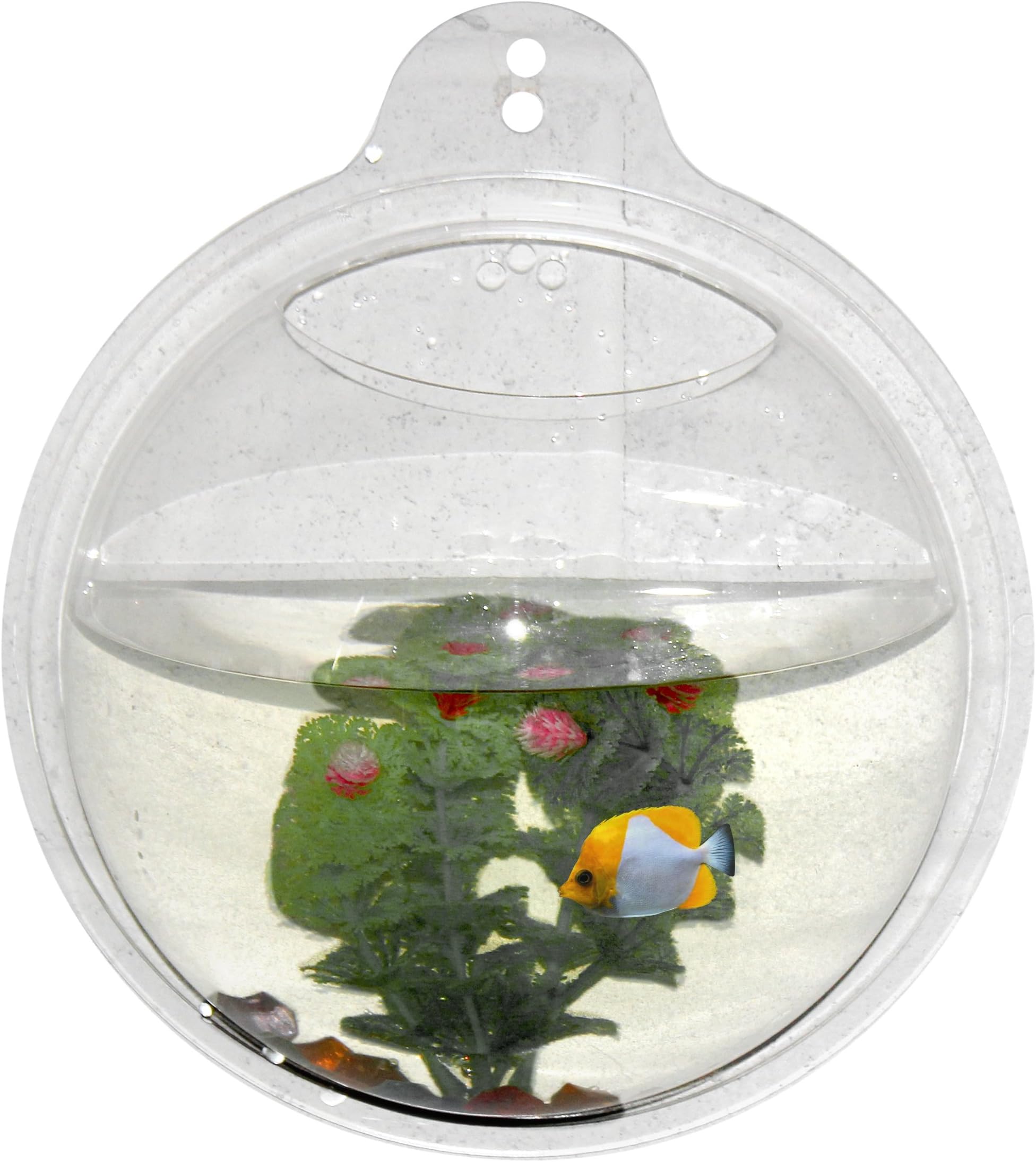 Abyss Pets Wall Mounted Hanging Fish Bowl Aquarium Tank for Gold Fish and Beta Fish, 10"