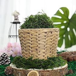 BYHER Artificial Moss Fake Green Grass for
