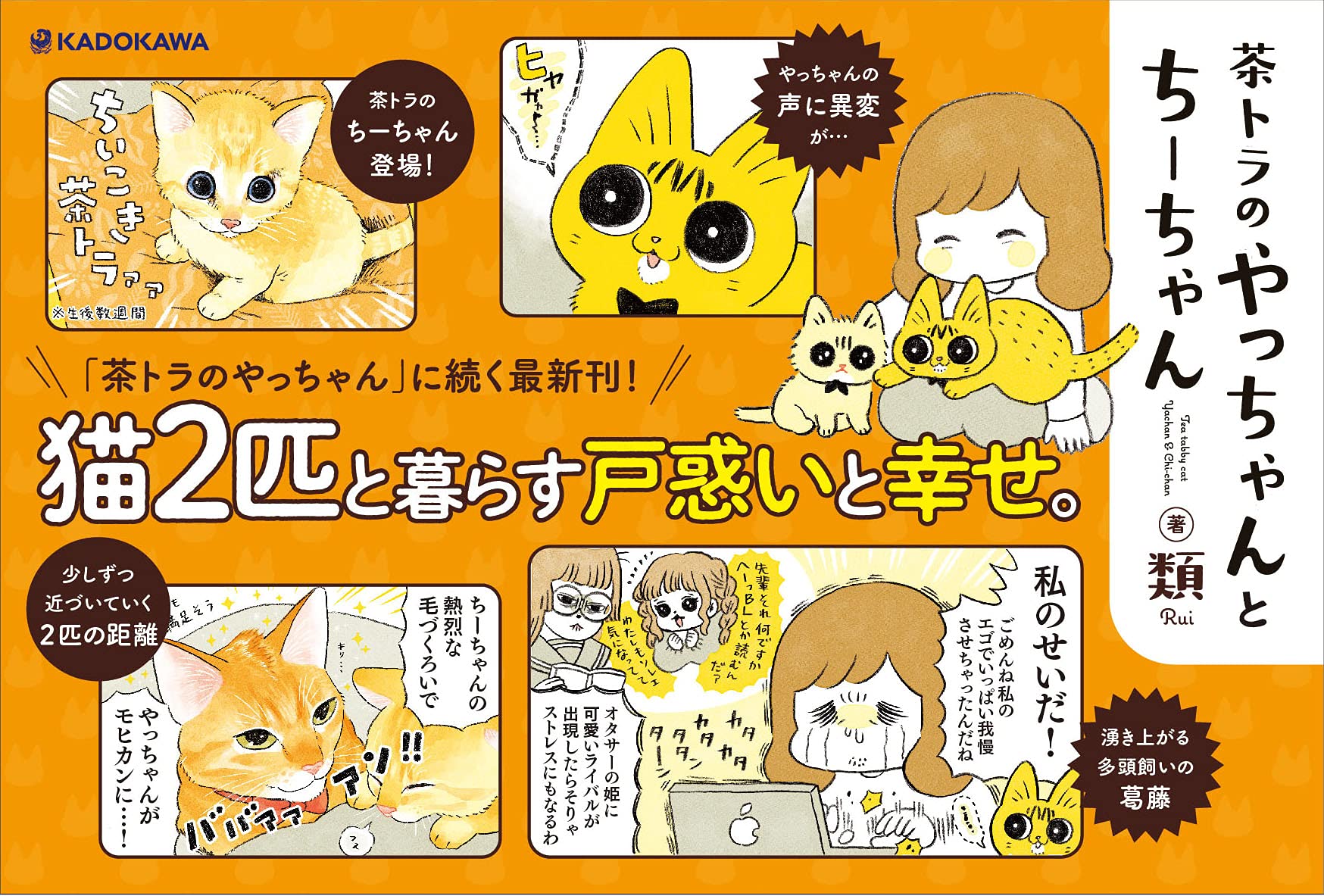 茶トラのやっちゃんとちーちゃん 類 本 通販 Amazon