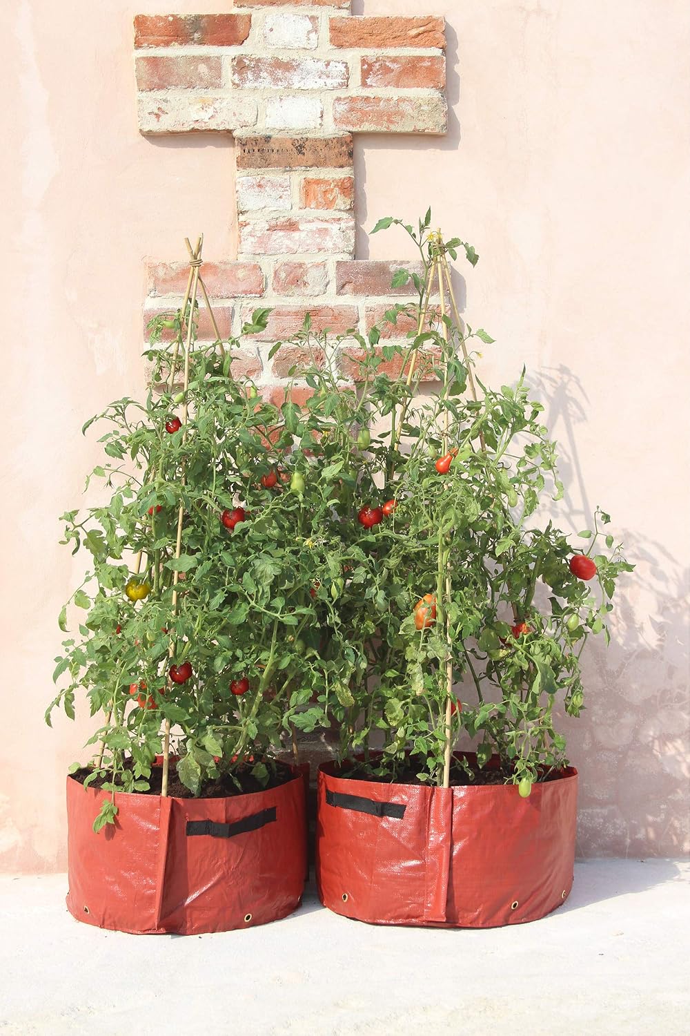Haxnicks 2 x Tomato Patio Garden Planters, Brown, 55x35x35 cm - Image 3