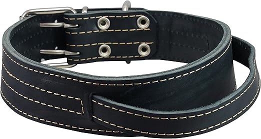 large dog collar with handle