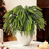 Whaline 12Pcs Christmas Norfolk Pine Branches Stems 18 Inch Artificial Fake Xmas Pine Needles Picks Faux Greenery Sprigs for Vase Fillers Christmas DIY Wreath Winter Holiday Decoration