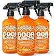 Angry Orange Pet Odor Eliminator for Dog and Cat Urine, Carpet Stains, and Strong Smells – Citrus Cleaner with Natural Orange Oil – 24 oz - Value 3 Pack