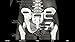 Skeletal Anatomy 3D - Quiz and Reference