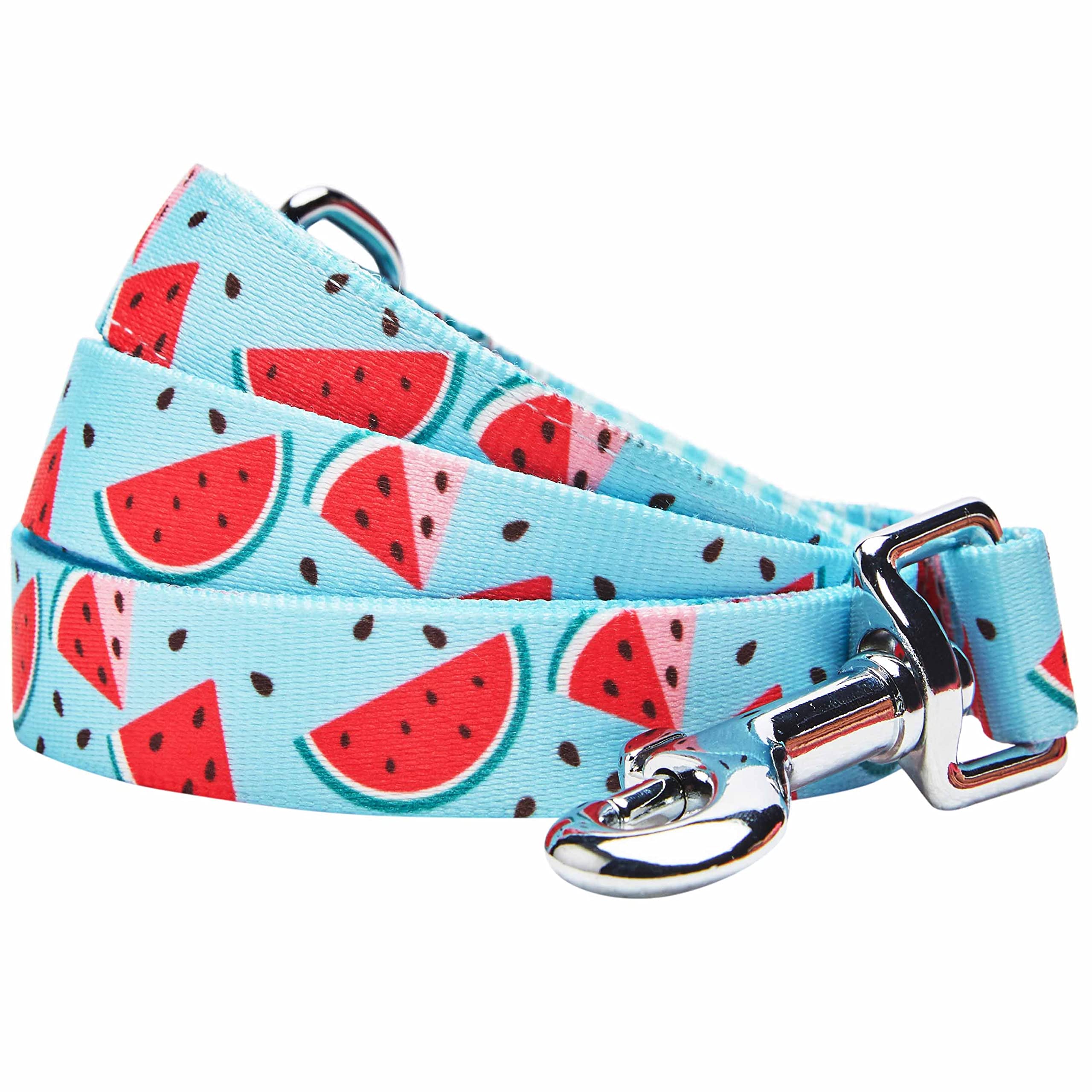 Blueberry Pet Summer Sparkle Dog Leash, Small Size, 150 cm x 1.5cm, Blue, Zesty Fruit Watermelon Print Pet Leash