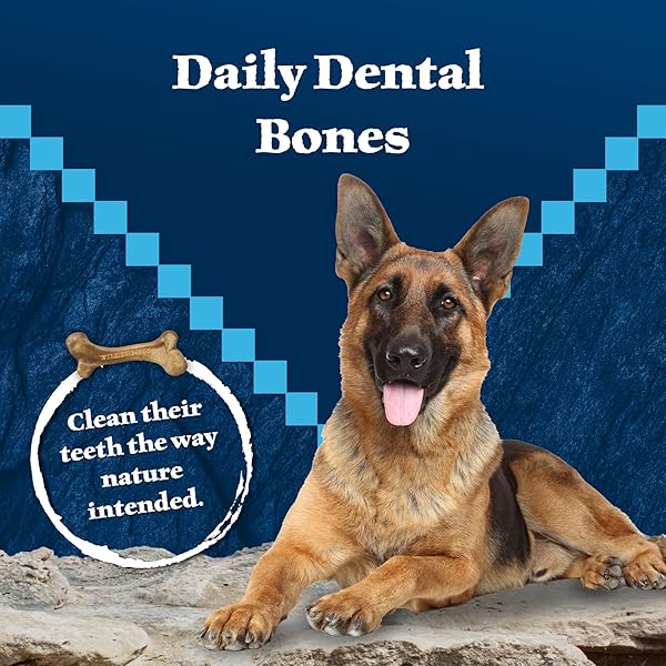 BLUE BUFFALO WILDERNESS WILD BONES GRAIN-FREE DENTAL CHEWS DOG TREATS, MINI, 10-OZ BAG