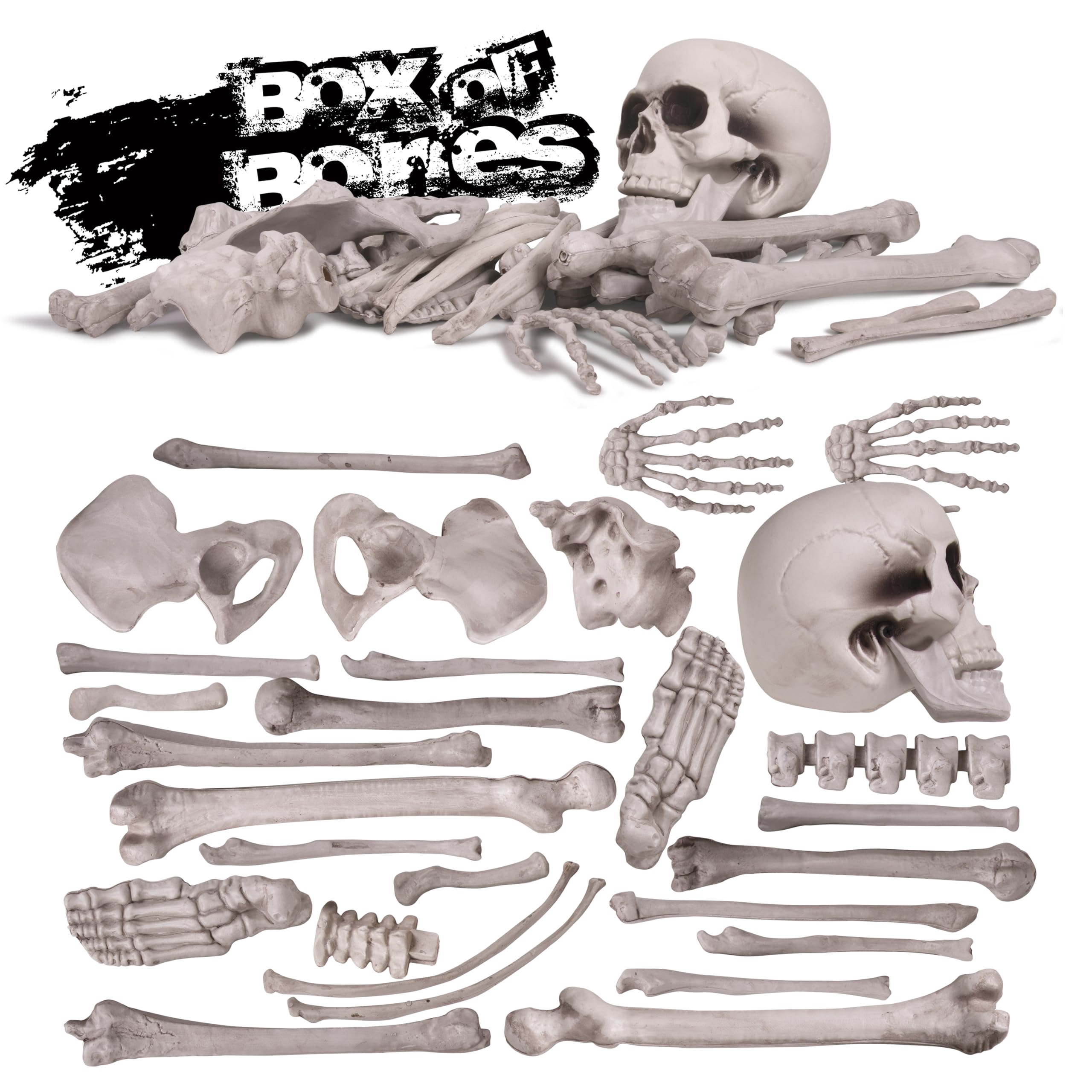 Kangaroo Halloween Skeleton Decor Bones 30 Pieces Bulk - Large Bag of Plastic Bones for Outdoor Yard Decoration - Scary Graveyard Fake Skulls and Bones