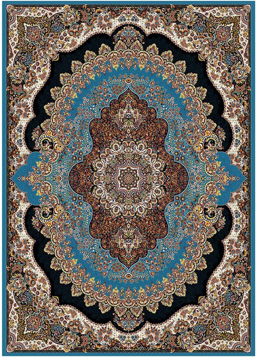 Fematte Carpet Retro Style Thickening Encryption Soft Comfortable Breathable Water-Absorbing Elastic Living Room Bedroom Study Rug,B,400x600cm