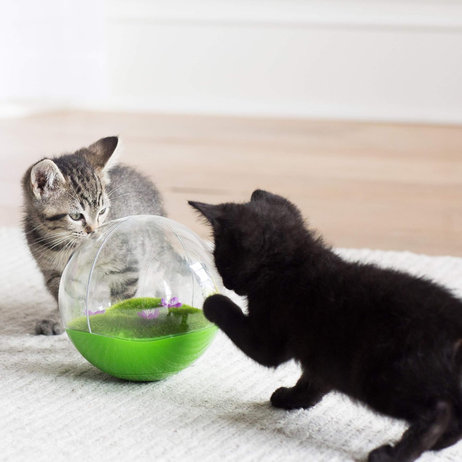 jackson galaxy butterfly ball