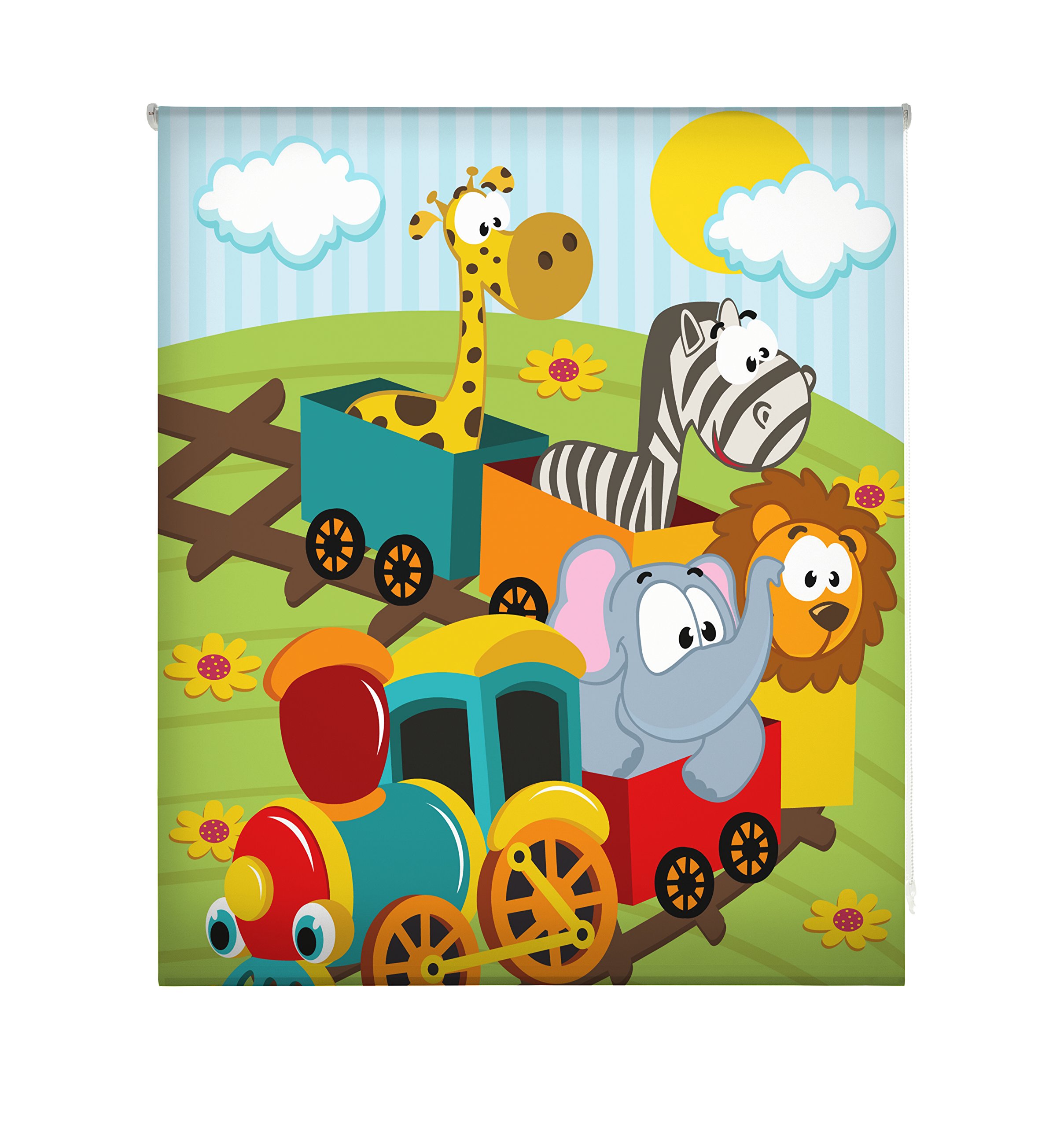 blindecor w-i-49663 – Roller Translucido Digital Print, 110 x 180 cm