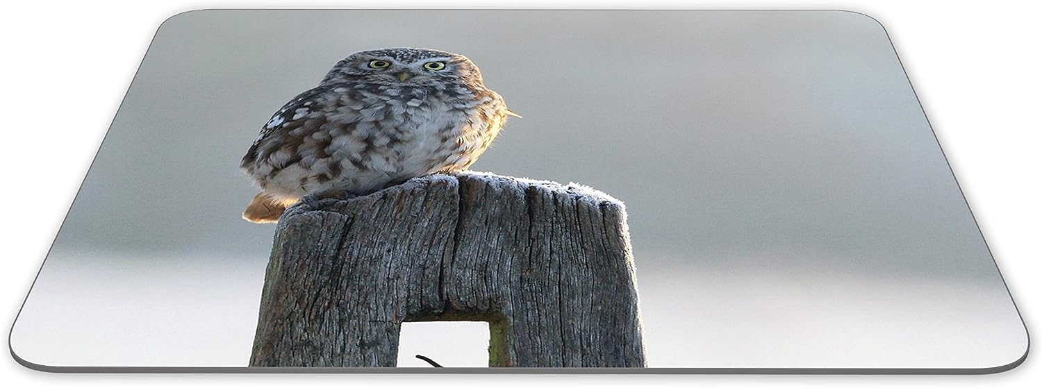 Destination Vinyl Ltd Beautiful Owl in Winter Mouse Mat Pad - Bird Birds Owls Mum Computer #8890, Multicolor, 23.5cm x 19.6cm x 5mm - Image 3