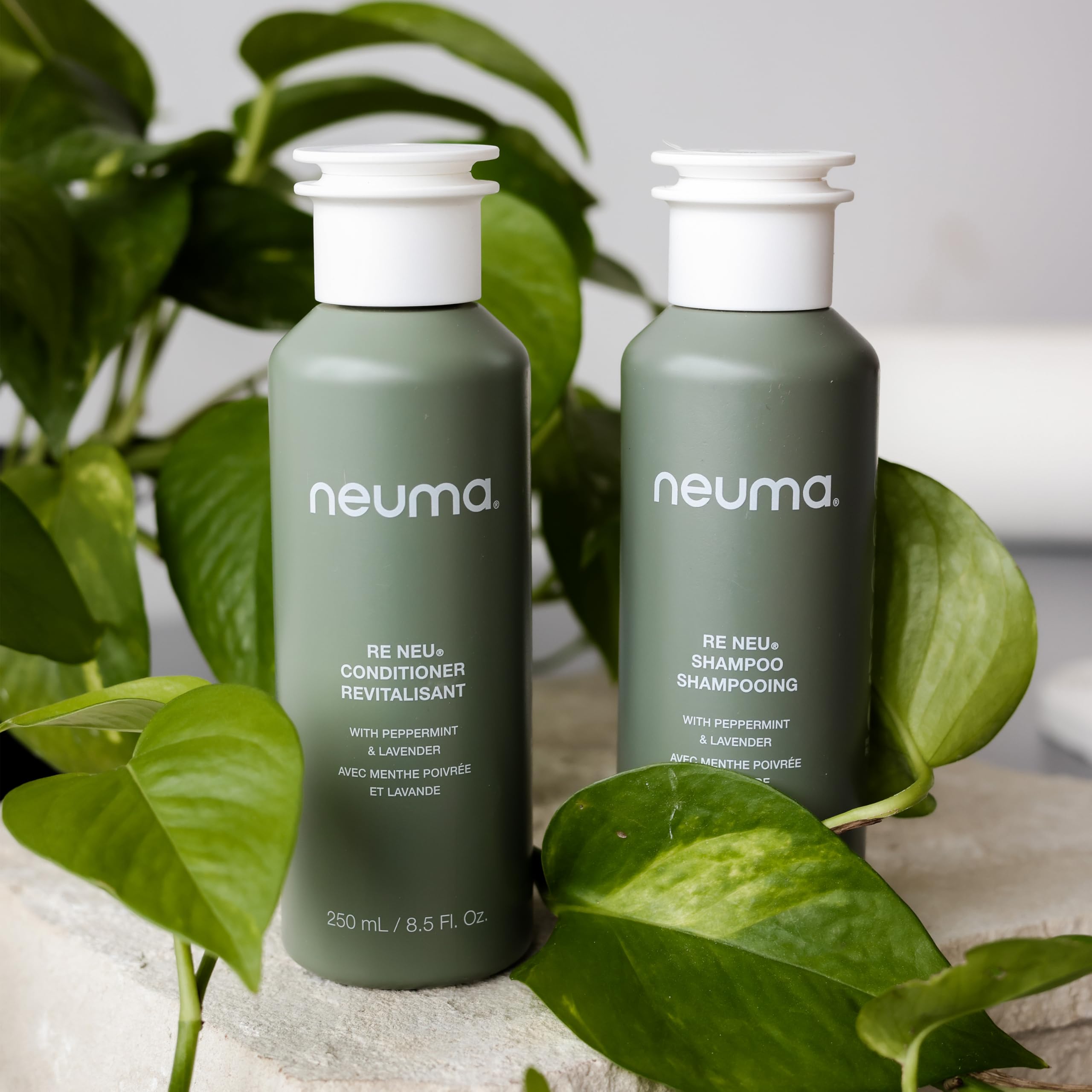 NEUMA Re Neu Shampoo