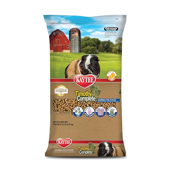 KAYTEE TIMOTHY COMPLETE GUINEA PIG FOOD, MADE WITH TIMOTHY HAY, HIGH IN FIBER, SUPPORTS DENTAL HEALTH AND DIGESTION, LONG-LASTING VITAMIN C, 9.5 POUNDS