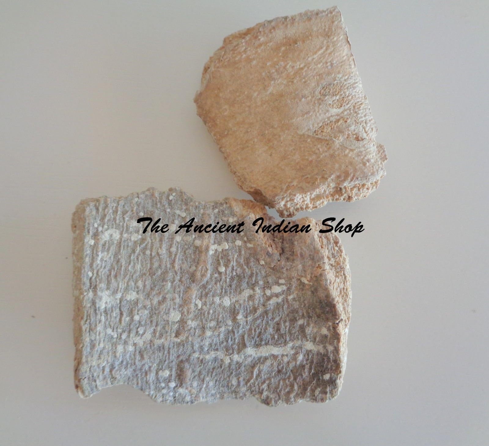Varun Bark, Bonna Pithagola, Crataeva Nurvala, Indian Raw & Whole Herbs, 100 GM (3.5 Oz)