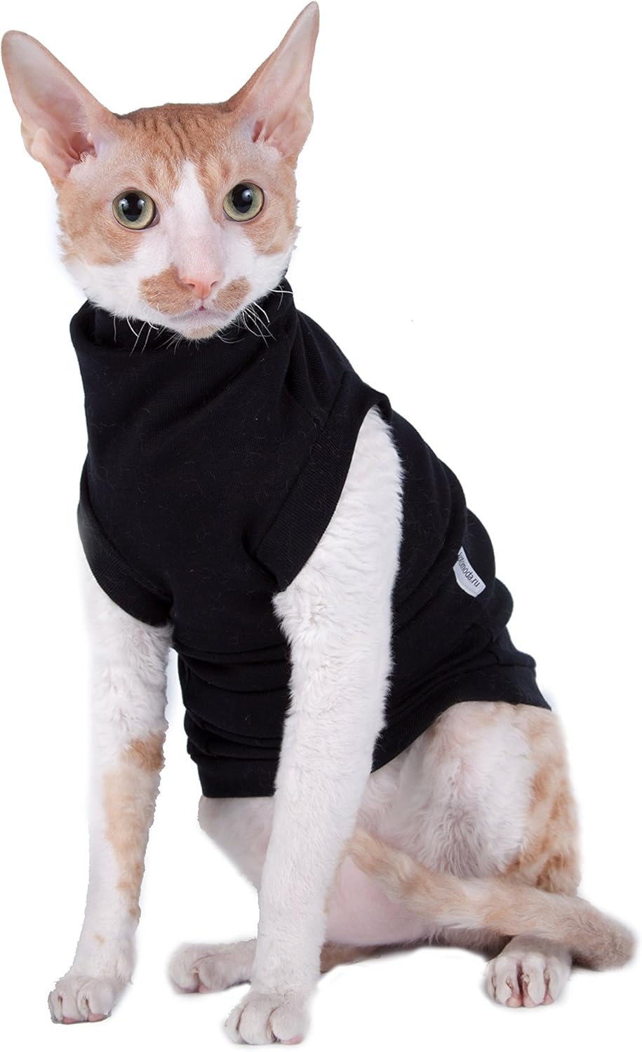 cat turtleneck