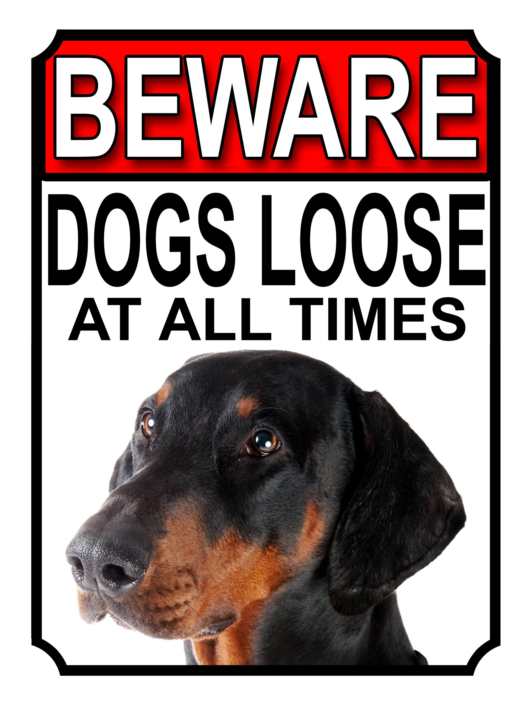 SHAWPRINT BEWARE DOGS LOOSE AT ALL TIMES METAL SIGN DOBERMAN PINSCHER 200MM X 150MM (992H1)