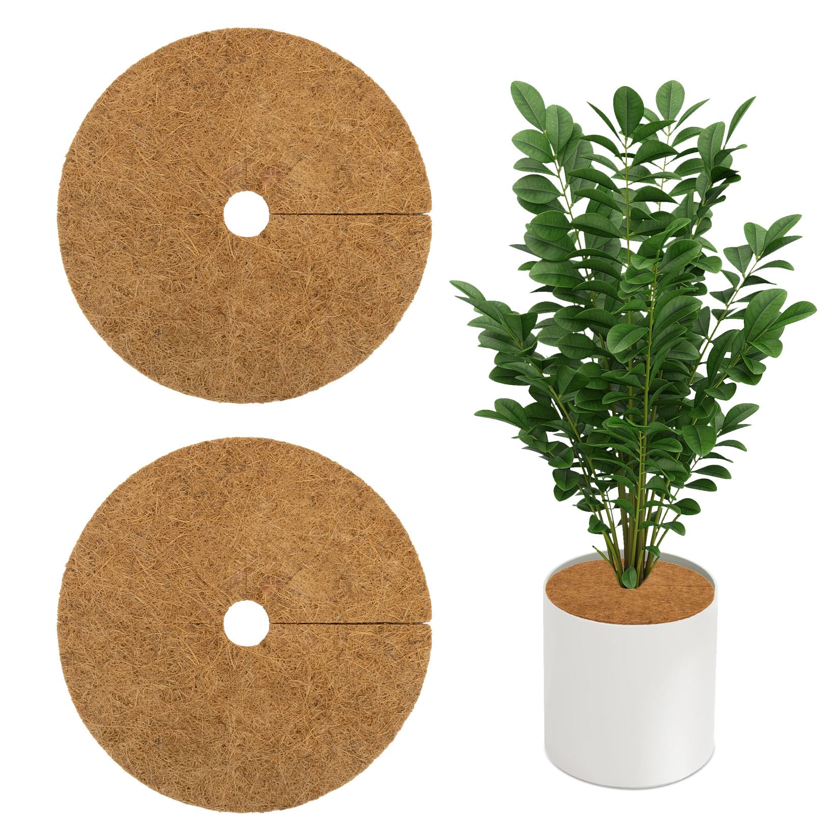 Photo 1 of Sukh Coconut Fibers Plant Protector Mat - 2PCS Tree Mulch Ring 9 Inch Natural Coconut Fibers Plant Cover for Indoor Outdoor Plants Coco Coir Mat Tree Protection Ring for Landscaping