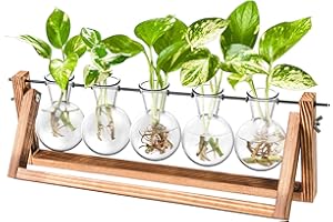 IVOLADOR I Ivolador Desktop Plant Propagation Stations，Plant Terrarium，Plant Lover Gifts for Women ，Gifts for mom， for Hydroponics Plants Home Garden Wedding Decor (5 Bulbs)