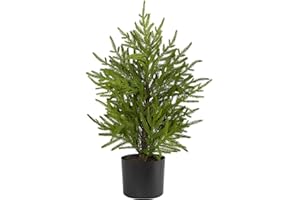 Nearly Natural 2ft. Norfolk Island Pine Natural Look Artificial Tree in Decorative Planter