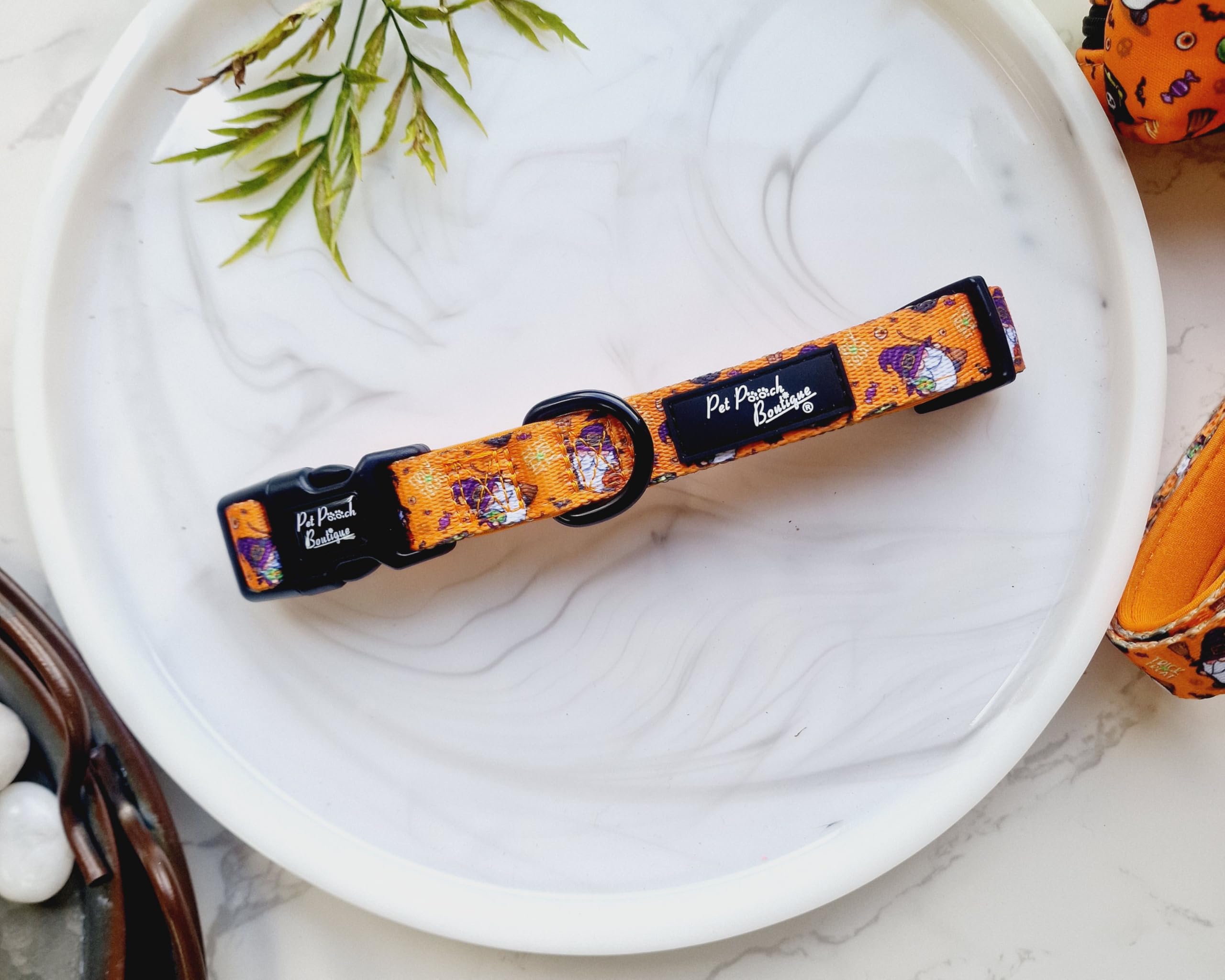 Trick Or Treat Harry Halloween Dog Collar M