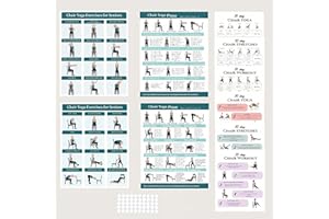 Chair Yoga Poster for Seniors & Beginners, Set of 4 Illustrated Guides & 6 30-Day Challenges Laminated Gentle Seated Exercise
