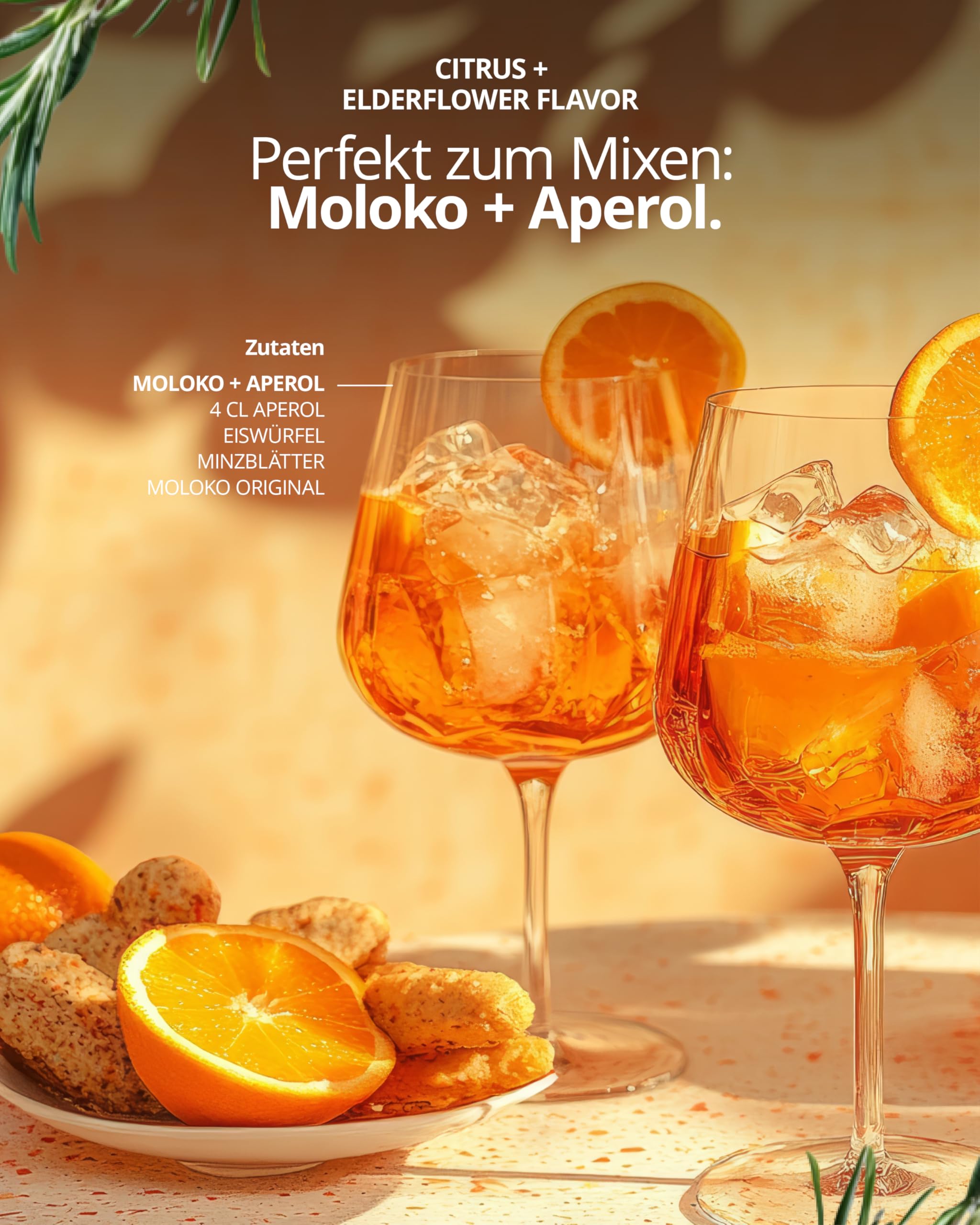 Moloko Softdrink Refresh your Mind, 24er Pack, EINWEG (24 x 250 ml) 5