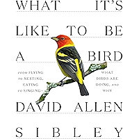 What It's Like to Be a Bird: From Flying to Nesting, Eating to Singing--What Birds Are Doing, and Why (Sibley Guides) book cover What It's Like to Be a Bird: From Flying to Nesting, Eating to Singing--What Birds Are Doing, and Why (Sibley Guides) book cover