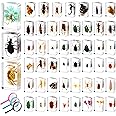 GlikCeil 50 Pcs Insect in Resin Specimen Various Bugs Collection Paperweights Bug Kit Preserved in Resin with 3 Magnifier Marine Animal Specimens for Kids Scientific Educational Display Collection
