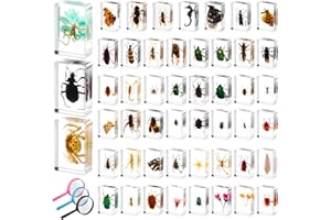 GlikCeil 50 Pcs Insect in Resin Specimen Various Bugs Collection Paperweights Bug Kit Preserved in Resin with 3 Magnifier Marine Animal Specimens for Kids Scientific Educational Display Collection