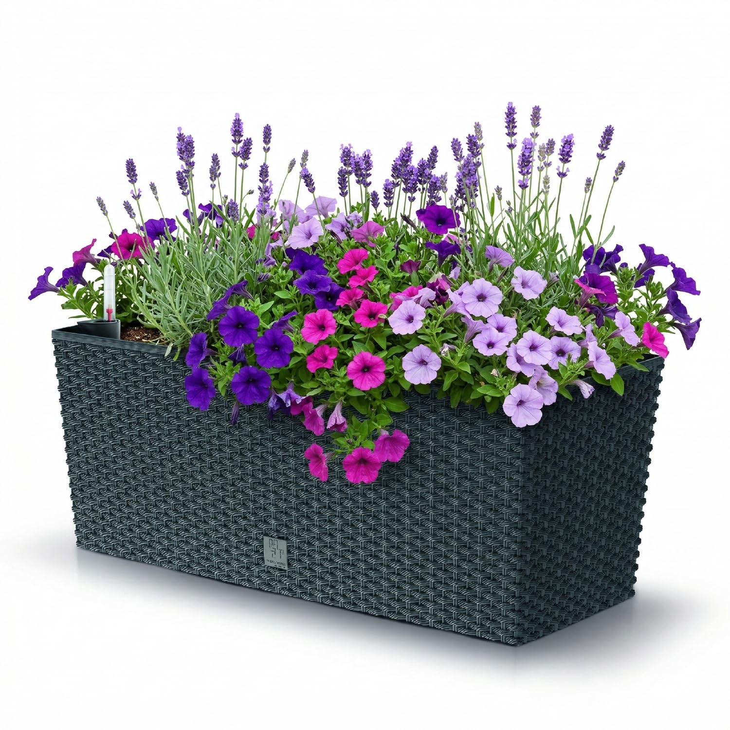 Prosper Plast DRTC500-S433 51.4 x 19.2 x 18.6 cm "Rato" Case Flowerpot - Anthracite